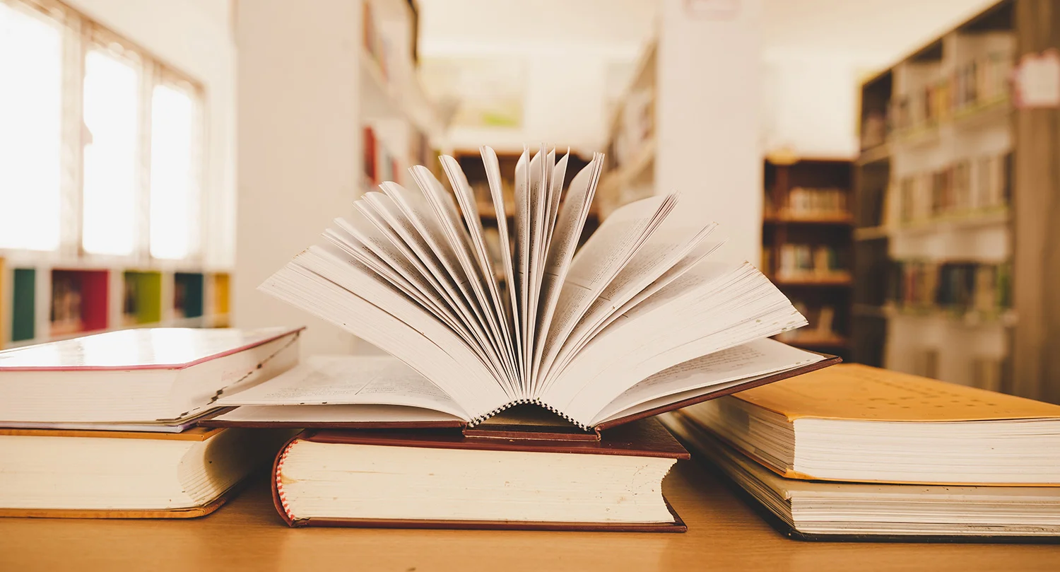 The Lost Journals - MentorCity