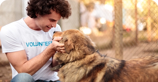 Volunteer Training for Animal Advocacy - MentorCity