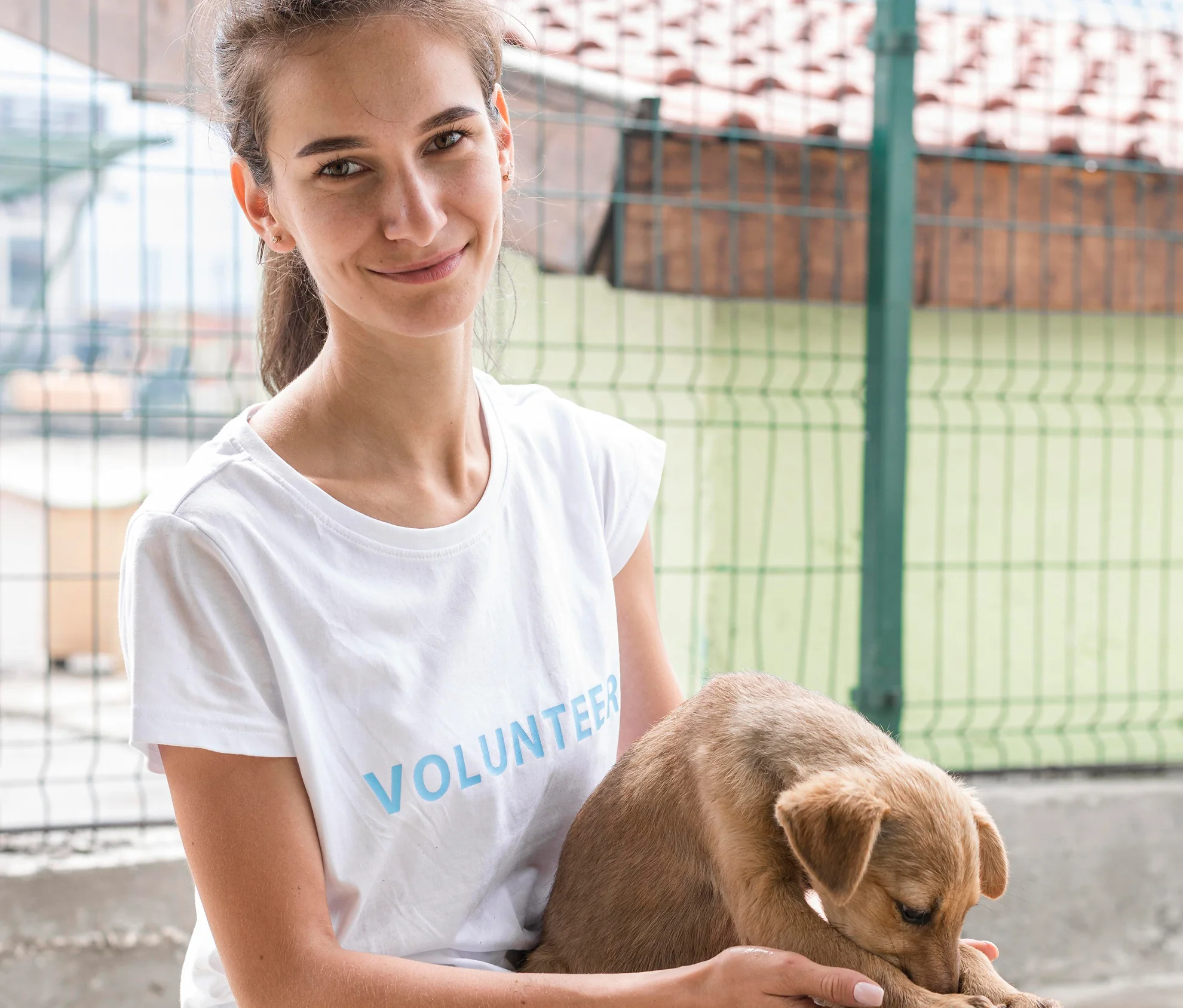 Why Animal Rights Organizations Choose MentorCity - MentorCity
